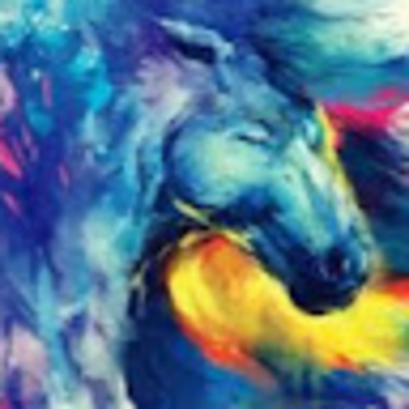 Meet your Posher, Kyra - Picture 1 of 1